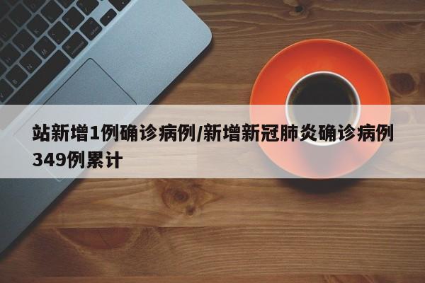 站新增1例确诊病例/新增新冠肺炎确诊病例349例累计