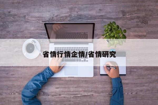 省情行情企情/省情研究