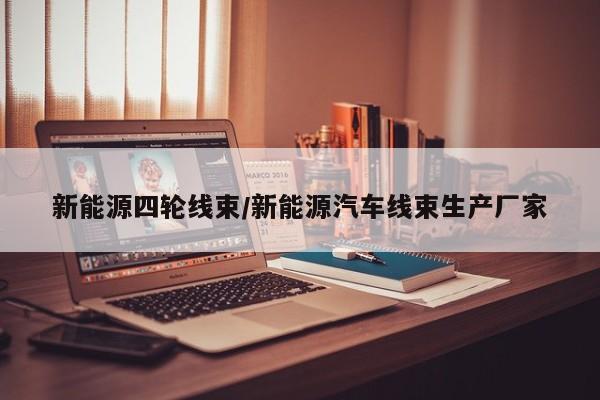 新能源四轮线束/新能源汽车线束生产厂家